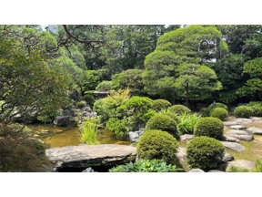 村雨さんと日本庭園たしなみ巡り　山本亭