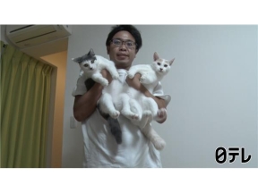 嗚呼!!みんなの動物園2時間SPティモンディ前田新預かり始動＆池崎から重大発表