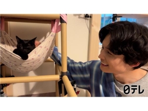 嗚呼!!みんなの動物園池崎一門！激かわ兄妹猫&SixTONES松村北斗参戦SP