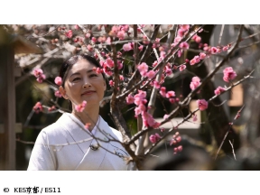 京都画報【日本文化ルネサンス!−文化発祥の地を巡る旅−】