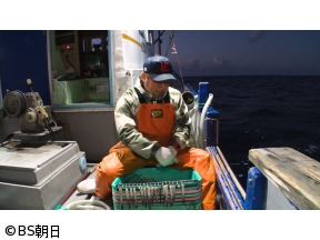 魚が食べたい!　「高知県のブランド・清水さば!絶品の理由とは?」