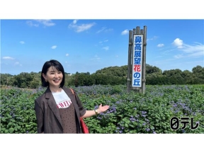ぶらり途中下車の旅謎の看板発見!「ナピラ出没注意」ナピラって何?&コスモス畑