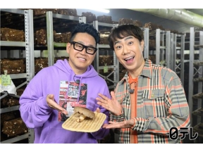 満天☆青空レストラン 秋田の黒椎茸1本5千円超の幻キノコの旨さに藤井隆も仰天