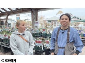 夢が咲く 有吉園芸　「有吉さんのベランダ用植物探し」