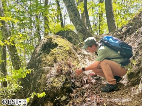 そこに山があるから　▽金子貴俊が長野県「守屋山」へ