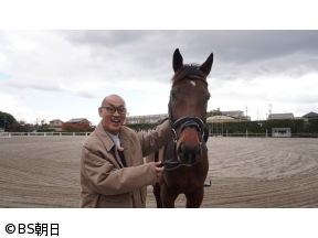 あなたの知らない京都旅〜1200年の物語〜　「クイズで開運“馬の聖地