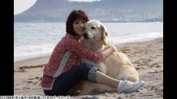 犬と私の10の約束