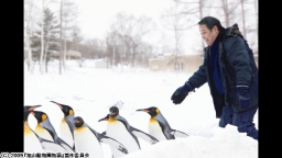 旭山動物園物語　ペンギンが空をとぶ