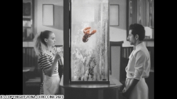 ラ・コシーナ/厨房(字幕版)