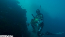 Fish of the Day3〜南太平洋で釣り三昧〜 #5(字幕版)