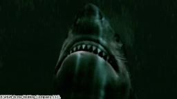 ホワイトシャーク 湖の水面の下に（字幕版）