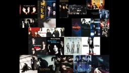WANDS 全期 Live & Music Video History