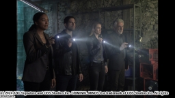 クリミナル・マインド17　#9　スターズ&ストライプス