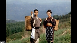 野菊の墓