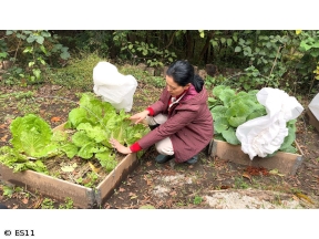 黒谷友香、お庭つくります　アンコール　ベストビューポイントに休憩所