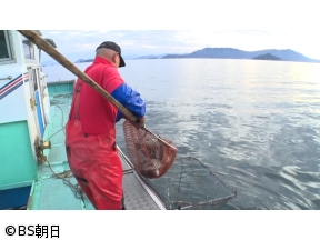 魚が食べたい!　「とりすぎ!名物漁師　完結編SP　広島&秋田」