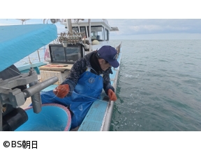 魚が食べたい!　「脂たっぷりのサワラにサメが出現!?果たして?」