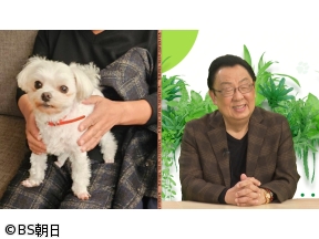 ネコいぬワイドショー　【ゲスト】梅沢富美男