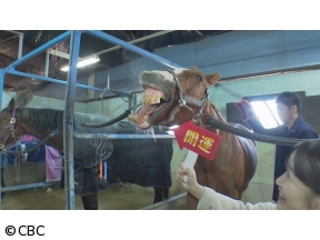 花咲か正月ＳＰ 今年もウマくいきますように！開運＆お年玉大放出 <第2部>