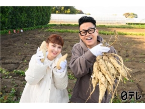 満天☆青空レストラン 白いさつまいも「きみまろこ」ねっとり食感で今年デビュー