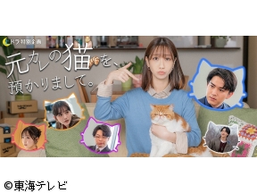 土ドラ特別企画・元カレの猫を、預かりまして。 #02