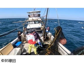 魚が食べたい!　「絶品のサツマアマエビ!深海魚の魅力を発信する若手漁師も!」