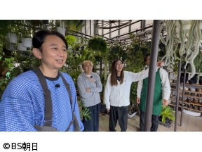 夢が咲く 有吉園芸　「オシャレで人気の吊るし植物」