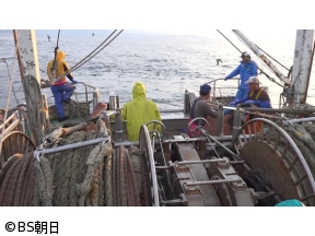 魚が食べたい!　「シケDと不運D!天候が良すぎて撮りすぎてしまった2つの漁!」