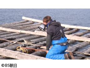 魚が食べたい!　「カキ筏の上から!?広島ならではの謎の鉄砲漁とは?」