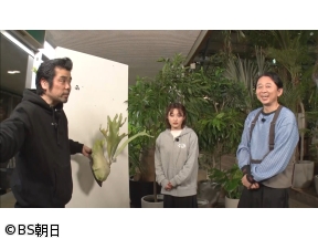 夢が咲く 有吉園芸　「人気植物ビカクシダを学ぶ&すぐマネできる園芸の裏ワザ」