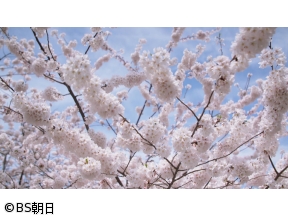 子供たちに残したい　美しい日本のうた　＃144