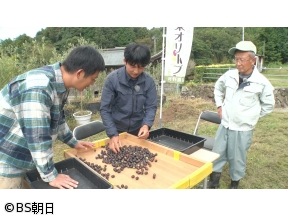 工藤阿須加が行く 農業始めちゃいました　▽大分オリーブ農家!金賞のオリーブ油