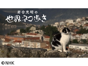 岩合光昭の世界ネコ歩き　モンテネグロ
