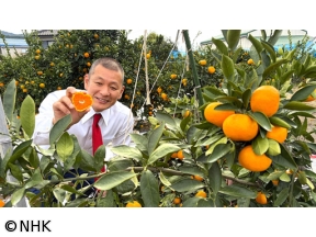 ザ・穴場ツアー　ＣＡＴＶネットワーク「美味を求めて　西へ西へ！」