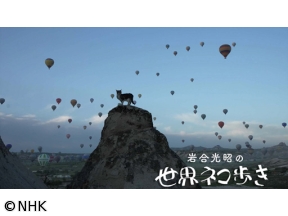 岩合光昭の世界ネコ歩き　カッパドキア〜トルコ〜