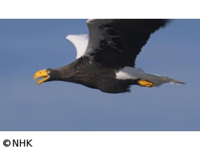 さわやか自然百景　北海道　宗谷岬　秋から冬