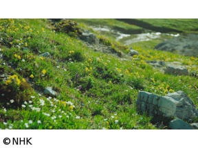 ビューティフル・アルプス「ドロミーティ　トレ・チーメ」