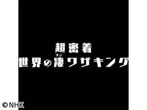超密着!世界の凄(すご)ワザキング　イタリア　大理石　天空の守護天使