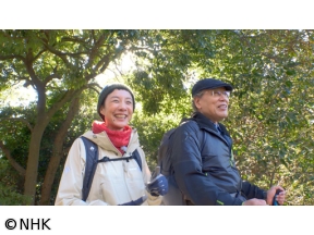 にっぽん百低山「鷹取山・神奈川」