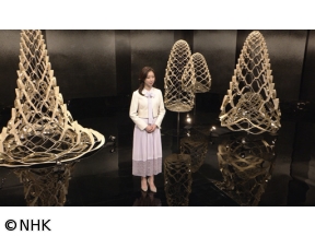 古典芸能への招待　歌舞伎「義経千本桜」吉野山　四ノ切