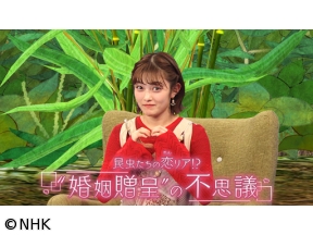 サイエンスZERO　昆虫たちの恋リア！？“婚姻贈呈”の不思議