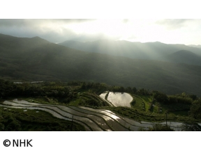 ワイルドライフ　スペシャル　国際共同制作　台湾　里山〜人と生きものの記憶〜