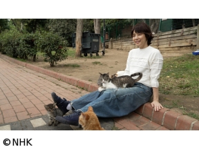 石田ゆり子　世界の犬と猫を抱きしめる〜トルコ編〜