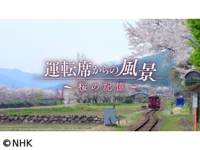 運転席からの風景　桜の記憶