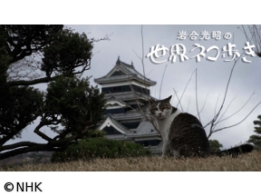 岩合光昭の世界ネコ歩き　松本