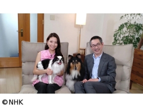 心おどる　犬ワールド　（1）江戸の犬ブーム