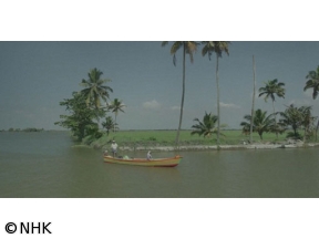 極彩インド　ケララ大水郷