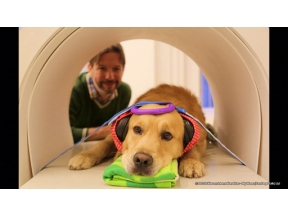 地球ドラマチック 大実験!イヌは「話せる」のか?