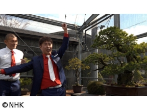 ザ・穴場ツアー　ＣＡＴＶネットワーク　愛媛県（２）「やまじ風　編」