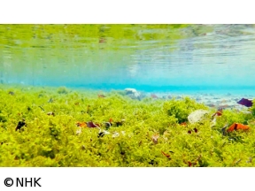 さわやか自然百景　北海道　厳冬　樽前山